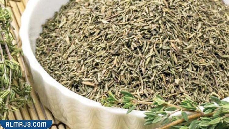 وصفات الزعتر للتخسيس