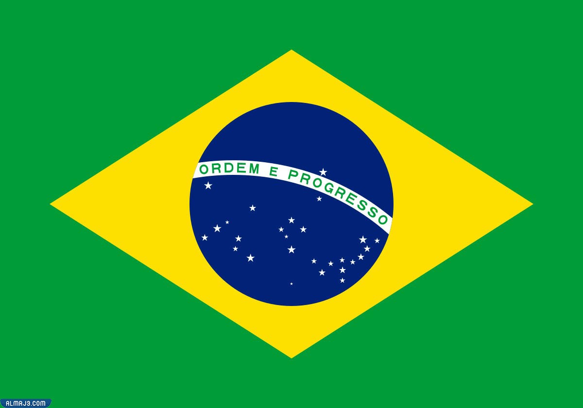 ويكيبيديا البرازيل