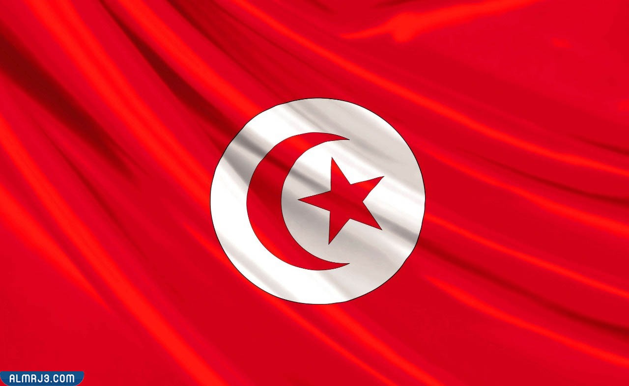 تونس - ويكيبيديا.