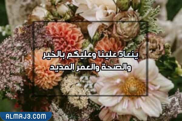 إذا قال أحدهم عيد مبارك فماذا أرد بالصور؟