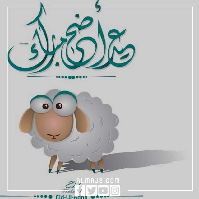 صور اضحى مبارك خروف العيد كرتون