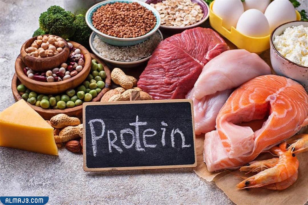 كيف أحسب الكمية التي يحتاجها جسمي من البروتين؟