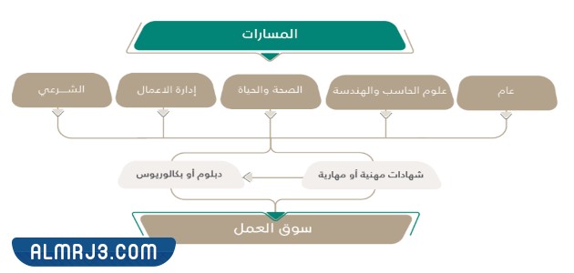 مسارات الثانوي 1444
