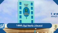 تخصصات جامعة تبوك ونسب القبول 1447