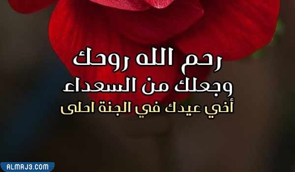 دعاء للميت في عيد الأضحى مكتوب