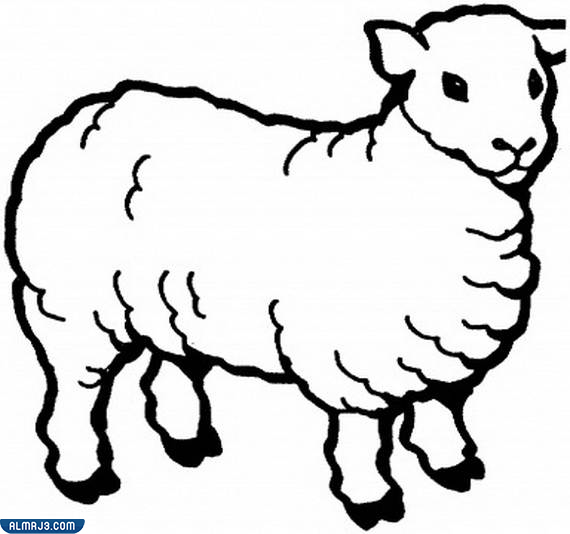 أجمل صور خروف العيد للتلوين 2022