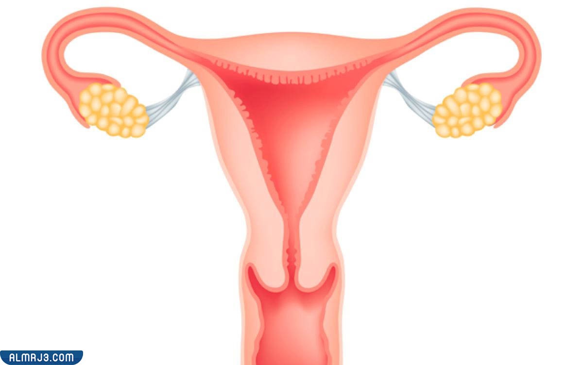 أسباب الإصابة بنزيف الرحم 