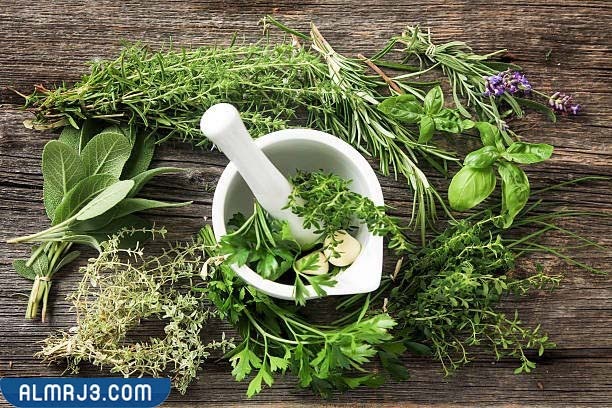 أضرار استخدام عشبة المدينة 