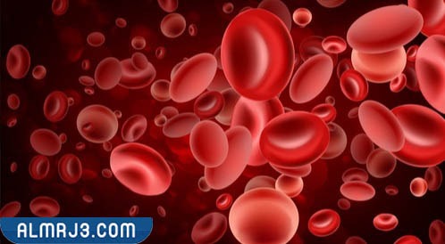 أعراض فقر الدم 