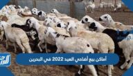 أسعار وأماكن بيع أضاحي العيد 2022 في البحرين أسعار وأماكن بيع أضاحي العيد 2022 في البحرين