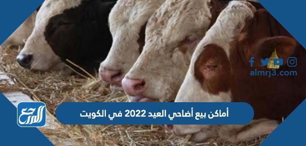 أماكن بيع أضاحي العيد 2022 في الكويت