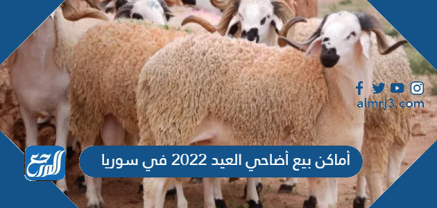 أماكن بيع أضاحي العيد 2022 في سوريا
