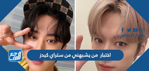 اختبار من يشبهني من ستراي كيدز