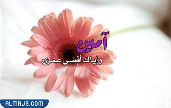 اذا احد قالك العمر كله وش اقوله