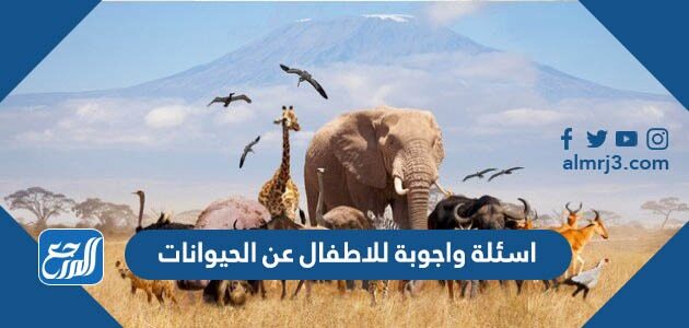 اسئلة واجوبة للاطفال عن الحيوانات
