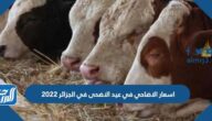 اسعار الاضاحي في عيد الاضحى في الجزائر 2022 واماكن بيعها