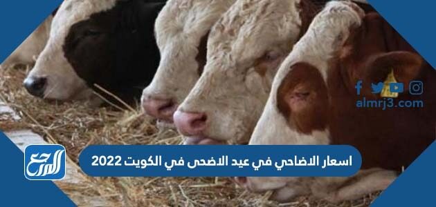 اسعار الاضاحي في عيد الاضحى في الكويت 2022