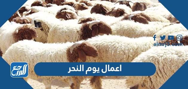 اعمال يوم النحر