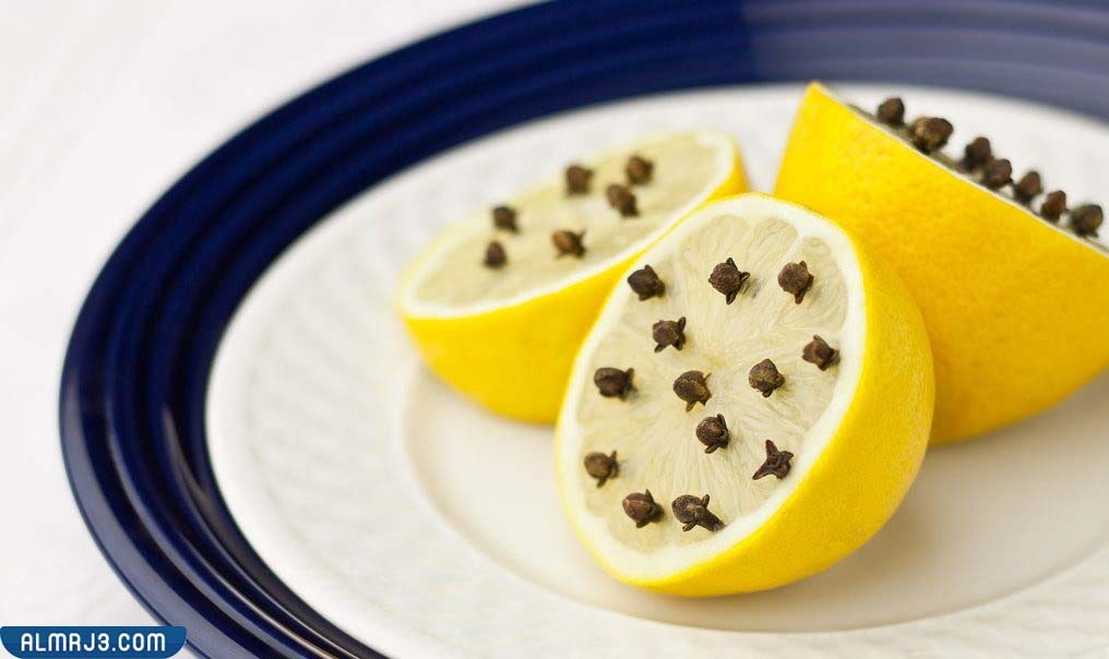 كيفية التخلص من الذباب والناموس في المنزل