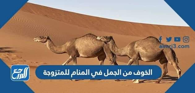 الخوف من الجمل في المنام للمتزوجة