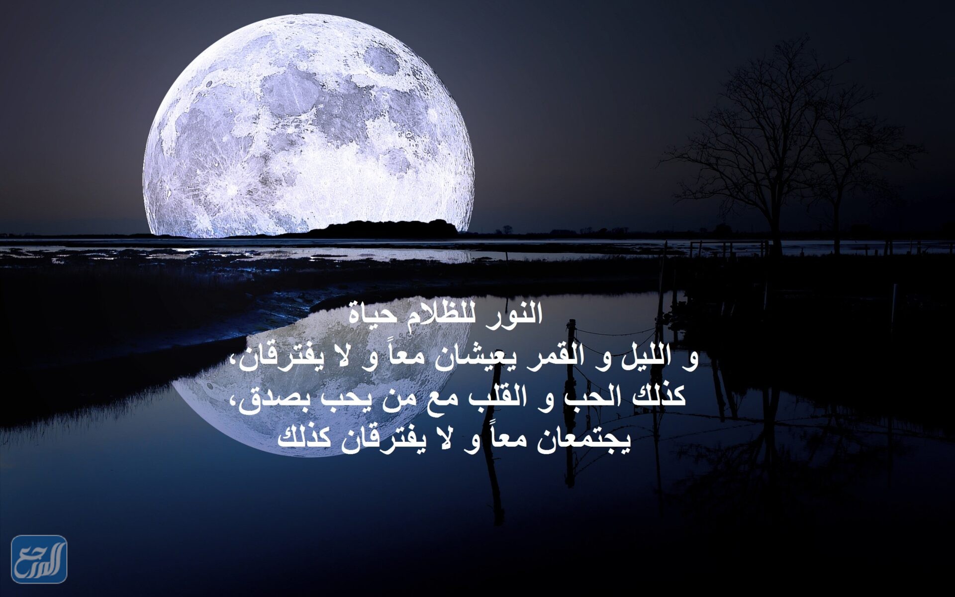 كلام عن القمر والليل تويتر