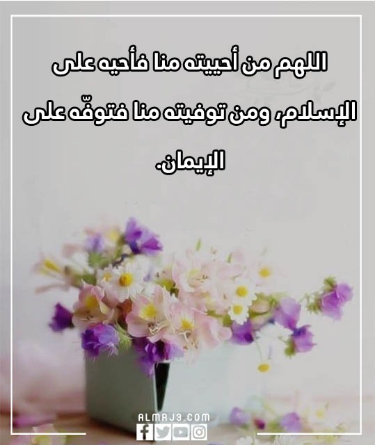 اللهم برد على قبور موتانا تويتر