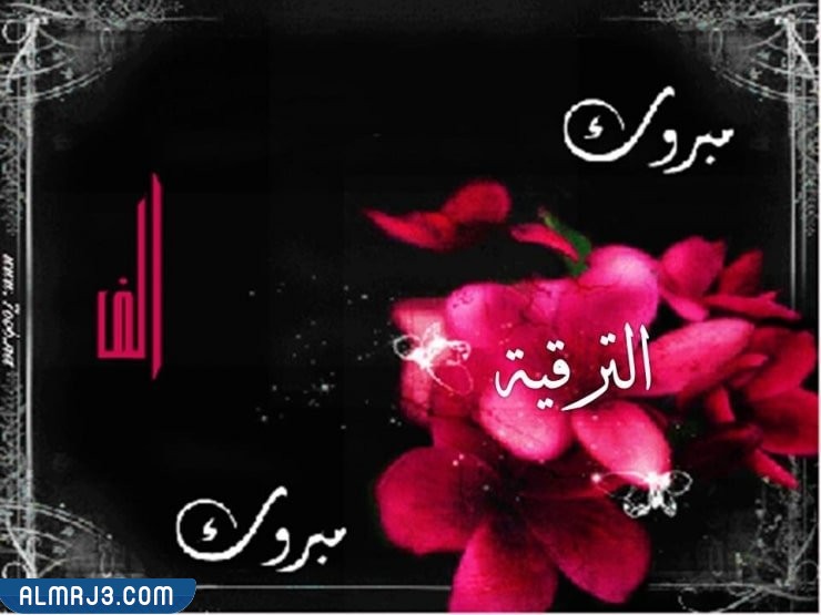 بطاقات تهنئة بالترقية في العمل 2022