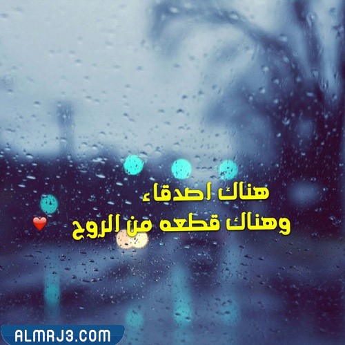 بيسات يوم الصداقة العالمي 2022