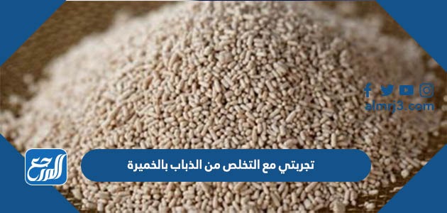 تجربتي مع التخلص من الذباب بالخميرة