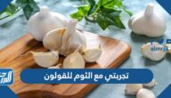 تجربتي مع الثوم للقولون ومدى فعالية الثوم في العلاج