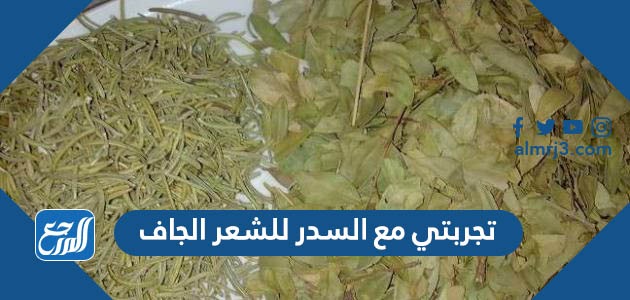 تجربتي مع السدر للشعر الجاف