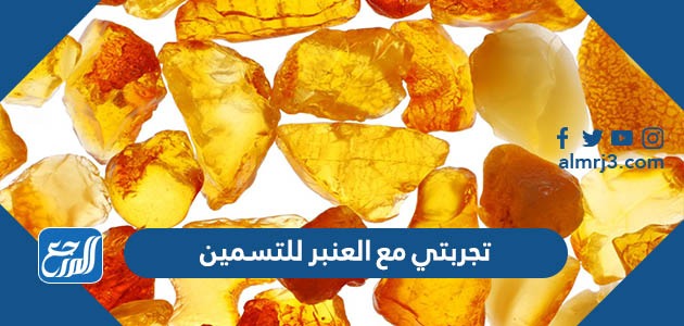 تجربتي مع العنبر للتسمين