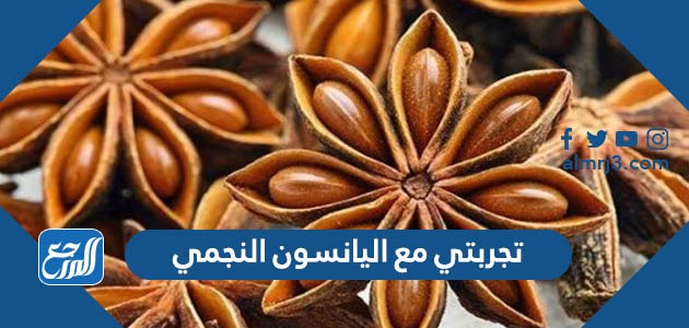 تجربتي مع اليانسون النجمي وفوائده