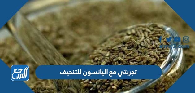 تجربتي مع اليانسون للتنحيف