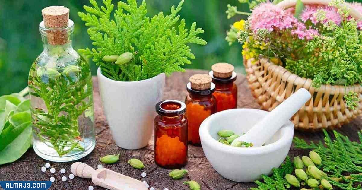 تجربتي مع عشبة المدينة للحمل