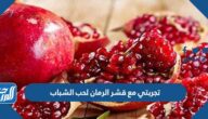 تجربتي مع قشر الرمان لحب الشباب