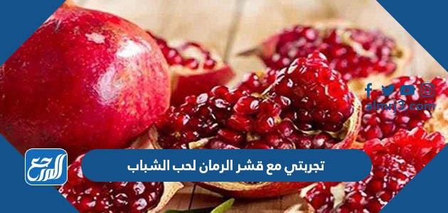 تجربتي مع قشر الرمان لحب الشباب