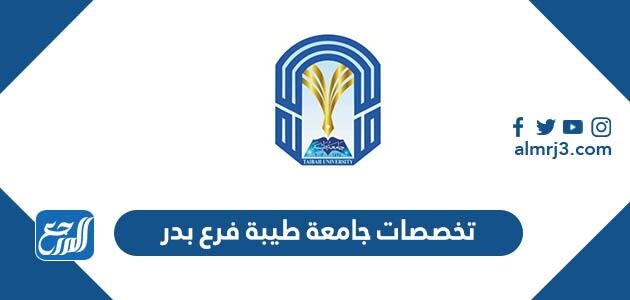 تخصصات جامعة طيبة فرع بدر 1448 وشروط القبول
