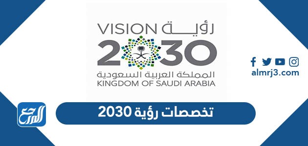 تخصصات رؤية 2030