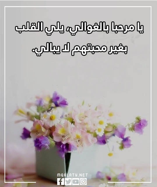 صور يا مرحبا بالضيوف مميزة