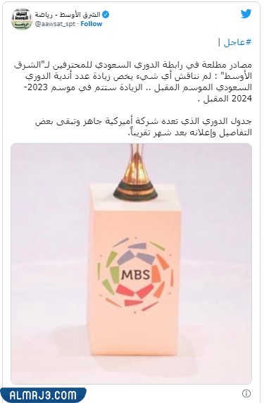 عدد فرق الدوري السعودي 2023