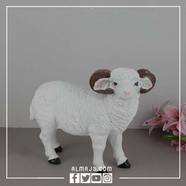 توزيعات عيد الاضحى للاطفال 2022