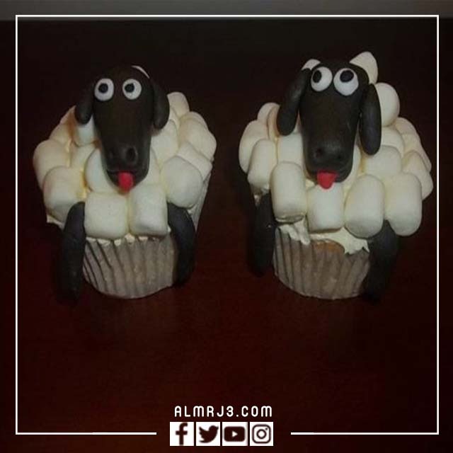 توزيعات كب كيك خروف العيد 2022