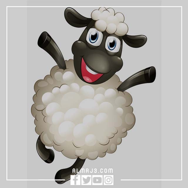 ثيمات خروف العيد 2022