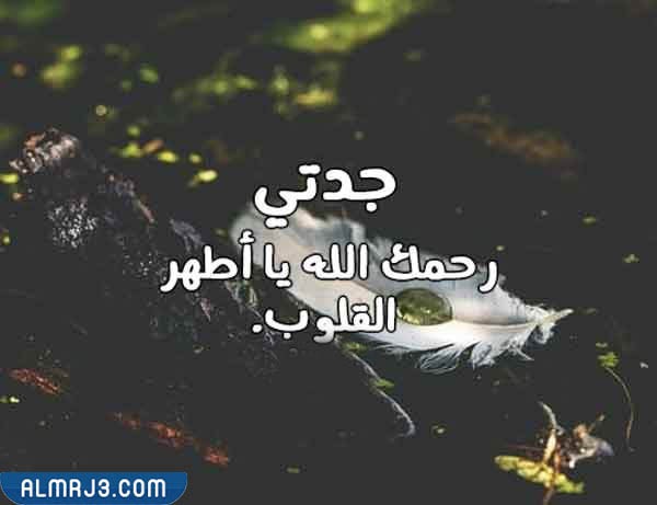 كلمات معبرة عن وفاة جدتي بالصور