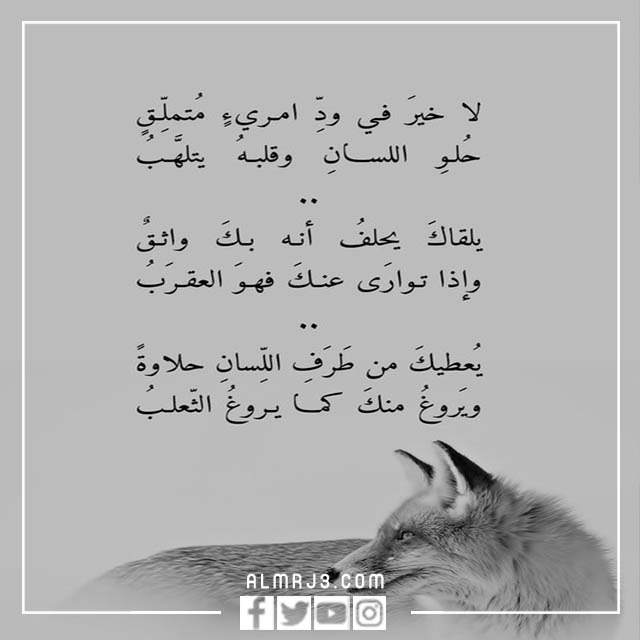 جمل الحكم المكتوبة على الصور