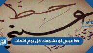 حظ عيني لو تشوفك كل يوم كلمات