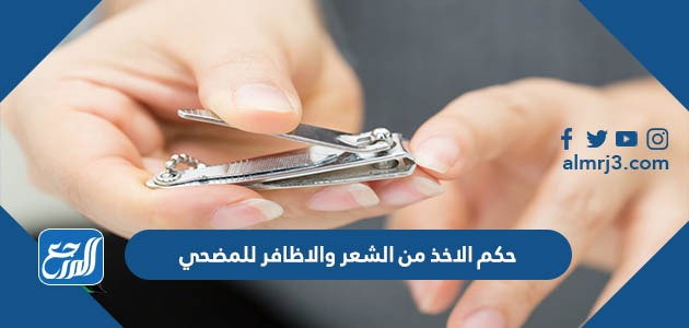 حكم الاخذ من الشعر والاظافر للمضحي