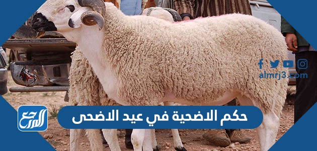 حكم الاضحية في عيد الاضحى