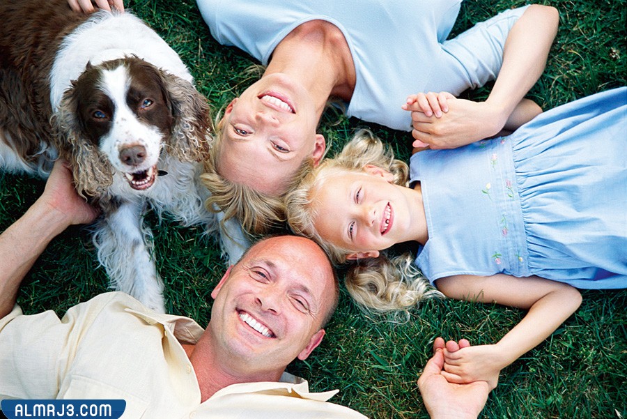 خلفيات عن الرفق بالحيوان